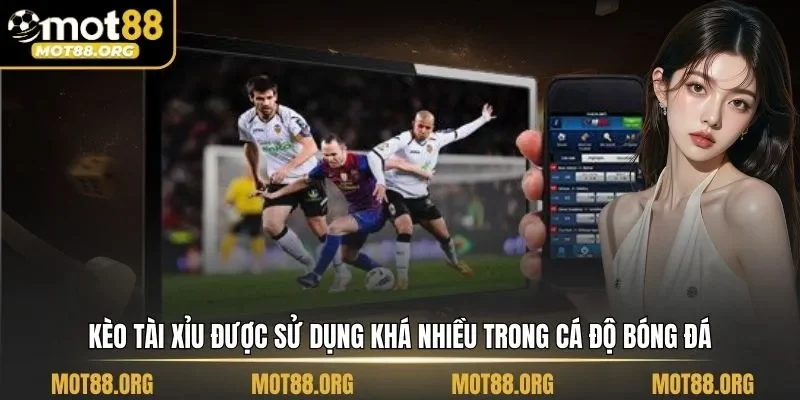 cách đọc kèo tài xỉu